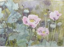 Pink Poppies with Bees-Rosalie Bullock-Mounted Giclee Print