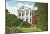 Rosalie, Natchez, Mississippi-null-Mounted Art Print