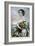 Rosanna-Currier & Ives-Framed Giclee Print