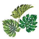 Monestera Leaves in Watercolor-rosapompelmo-Art Print