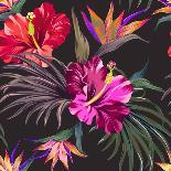 Tropical Floral Print. Variety of Jungle and Island Flowers in Bouquets in a Dark Exotic Print. All-rosapompelmo-Framed Stretched Canvas