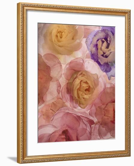 Rosas Compo 2-2-Moises Levy-Framed Giclee Print