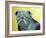 Roscoe-Lauren Moss-Framed Giclee Print