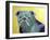 Roscoe-Lauren Moss-Framed Giclee Print