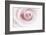 Rose Abstract-Anna Miller-Framed Photographic Print