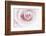 Rose Abstract-Anna Miller-Framed Photographic Print