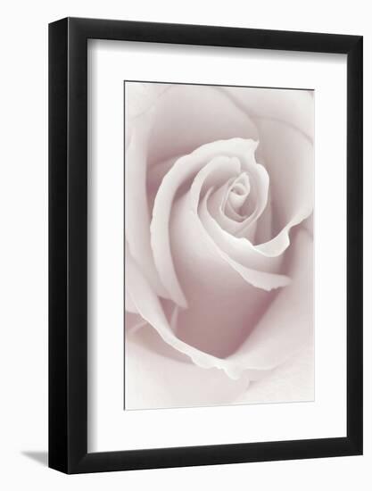 Rose Abstract-Anna Miller-Framed Photographic Print