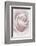 Rose Abstract-Anna Miller-Framed Photographic Print