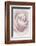 Rose Abstract-Anna Miller-Framed Photographic Print