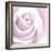 Rose Abstract-Anna Miller-Framed Photographic Print