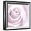 Rose Abstract-Anna Miller-Framed Photographic Print