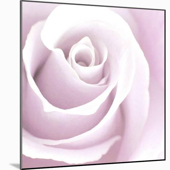 Rose Abstract-Anna Miller-Mounted Photographic Print