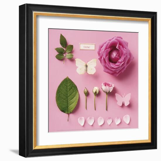 Rose and two butterflies-Louis Gaillard-Framed Art Print