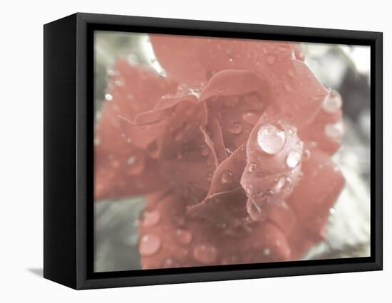 Rose and Water-null-Framed Premier Image Canvas