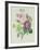 Rose, Anemone and Clematide-Pierre-Joseph Redouté-Framed Giclee Print