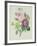 Rose, Anemone and Clematide-Pierre-Joseph Redouté-Framed Giclee Print