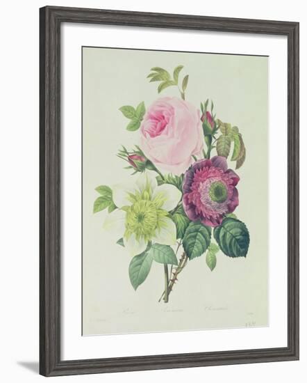 Rose, Anemone and Clematide-Pierre-Joseph Redouté-Framed Giclee Print