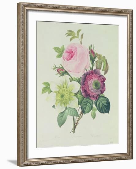 Rose, Anemone and Clematide-Pierre-Joseph Redouté-Framed Giclee Print