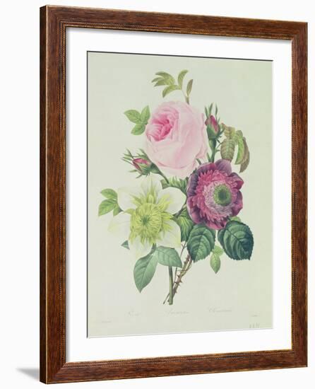 Rose, Anemone and Clematide-Pierre-Joseph Redouté-Framed Giclee Print