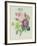 Rose, Anemone and Clematide-Pierre-Joseph Redouté-Framed Giclee Print