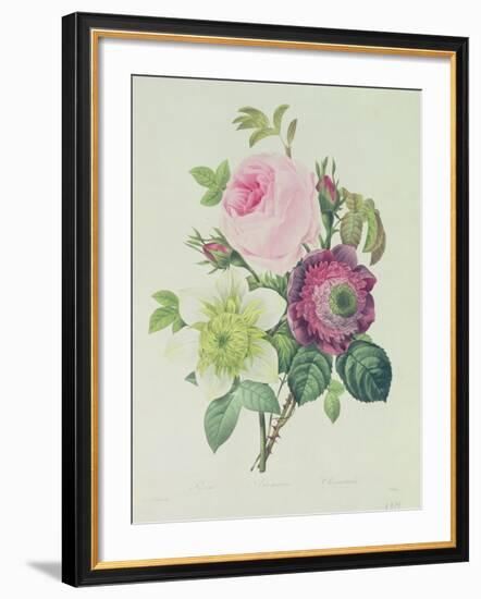 Rose, Anemone and Clematide-Pierre-Joseph Redouté-Framed Giclee Print