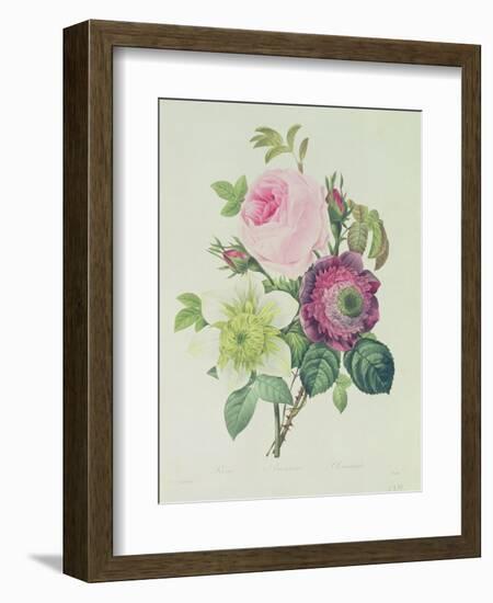 Rose, Anemone and Clematide-Pierre-Joseph Redouté-Framed Giclee Print