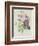 Rose, Anemone and Clematide-Pierre-Joseph Redouté-Framed Giclee Print