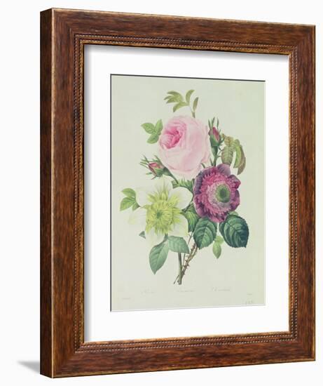 Rose, Anemone and Clematide-Pierre-Joseph Redouté-Framed Giclee Print