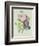 Rose, Anemone and Clematide-Pierre-Joseph Redouté-Framed Giclee Print