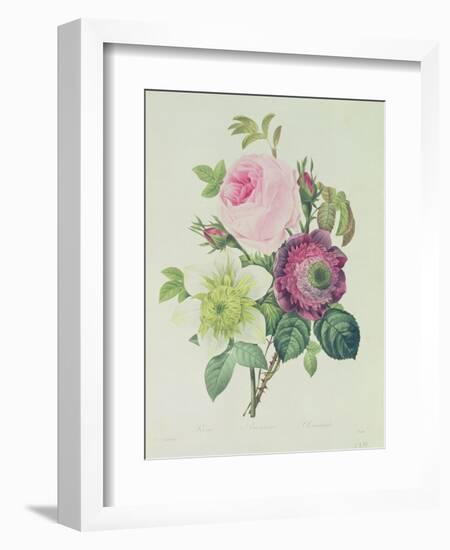 Rose, Anemone and Clematide-Pierre-Joseph Redouté-Framed Giclee Print