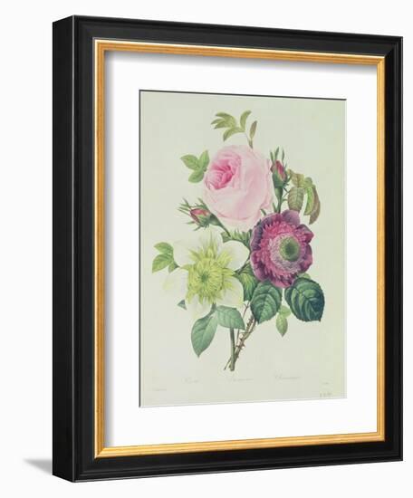 Rose, Anemone and Clematide-Pierre-Joseph Redouté-Framed Giclee Print