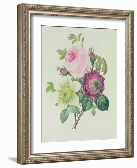 Rose, Anemone and Clematide-Pierre-Joseph Redouté-Framed Giclee Print