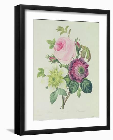 Rose, Anemone and Clematide-Pierre-Joseph Redouté-Framed Giclee Print