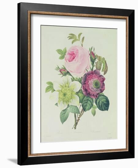 Rose, Anemone and Clematide-Pierre-Joseph Redouté-Framed Giclee Print