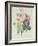 Rose, Anemone and Clematide-Pierre-Joseph Redouté-Framed Giclee Print