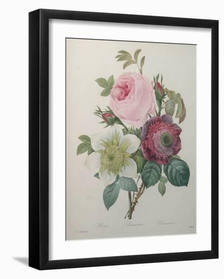 Rose, Anemone and Clematis-Pierre-Joseph Redoute-Framed Art Print