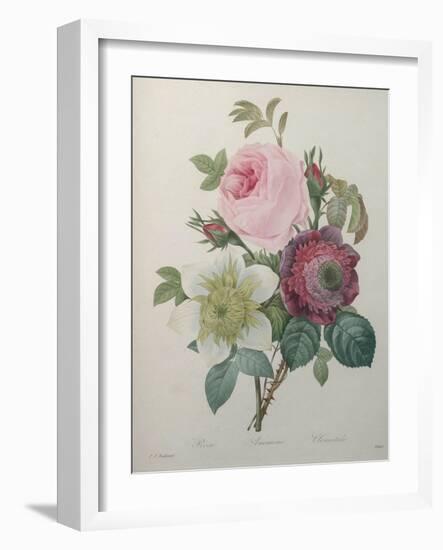 Rose, Anemone and Clematis-Pierre-Joseph Redoute-Framed Art Print