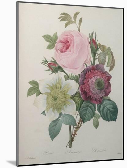 Rose, Anemone and Clematis-Pierre-Joseph Redoute-Mounted Art Print