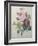 Rose, Anemone and Clematis-Pierre-Joseph Redoute-Framed Art Print