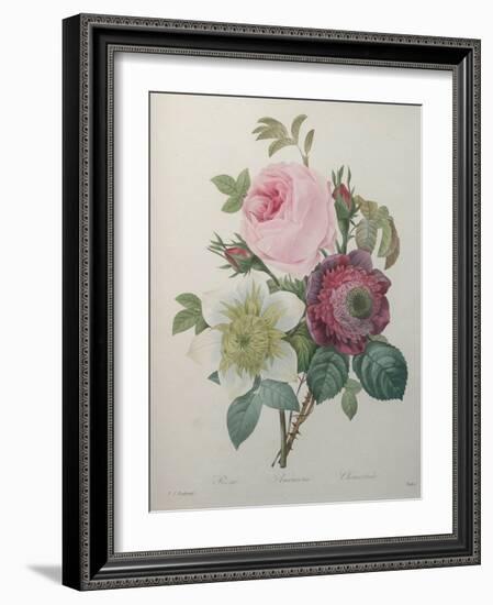 Rose, Anemone and Clematis-Pierre-Joseph Redoute-Framed Art Print