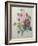 Rose, Anemone and Clematis-Pierre-Joseph Redoute-Framed Art Print