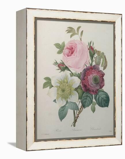 Rose, Anemone and Clematis-Pierre-Joseph Redoute-Framed Stretched Canvas