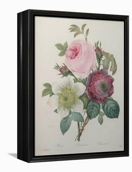Rose, Anemone and Clematis-Pierre-Joseph Redoute-Framed Stretched Canvas