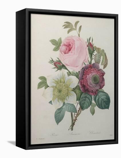 Rose, Anemone and Clematis-Pierre-Joseph Redoute-Framed Stretched Canvas