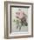 Rose, Anemone and Clematis-Pierre-Joseph Redoute-Framed Art Print