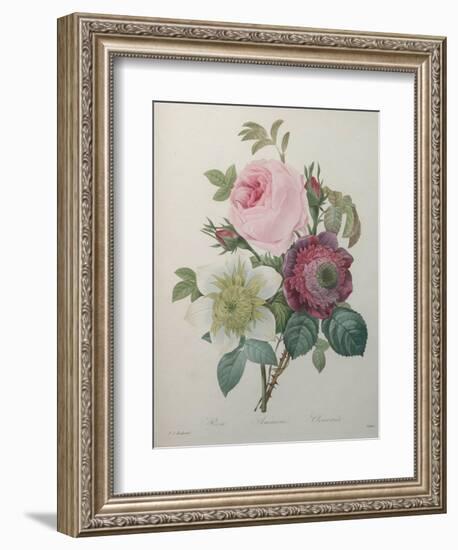 Rose, Anemone and Clematis-Pierre-Joseph Redoute-Framed Art Print