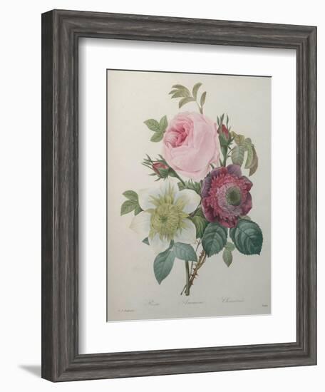Rose, Anemone and Clematis-Pierre-Joseph Redoute-Framed Art Print