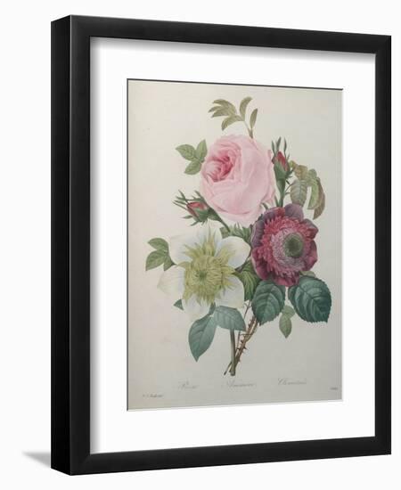 Rose, Anemone and Clematis-Pierre-Joseph Redoute-Framed Art Print