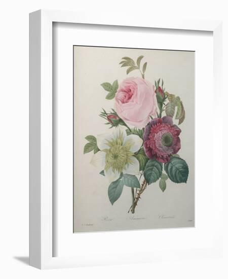 Rose, Anemone and Clematis-Pierre-Joseph Redoute-Framed Art Print