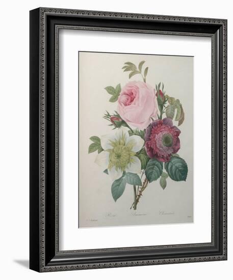 Rose, Anemone and Clematis-Pierre-Joseph Redoute-Framed Art Print